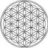 SolX